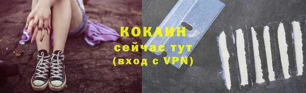 трава Медвежьегорск