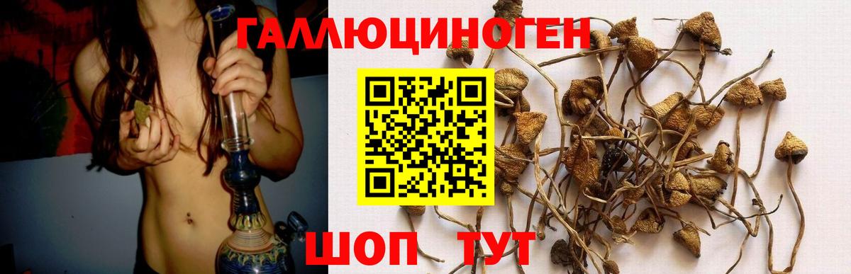 Ялуторовск  Псилоцибиновые грибы MAGIC MUSHROOMS  Вход с VPN  Псилоцибиновые грибы Magic Shrooms 